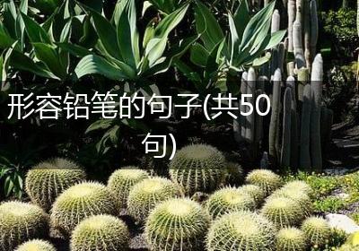 形容铅笔的句子(共50句)