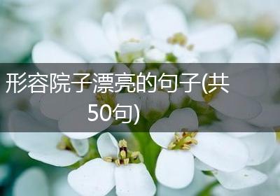 形容院子漂亮的句子(共50句)