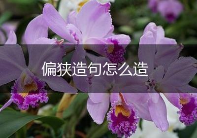 偏狭造句怎么造