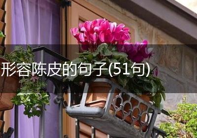 形容陈皮的句子(51句)