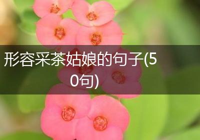 形容采茶姑娘的句子(50句)