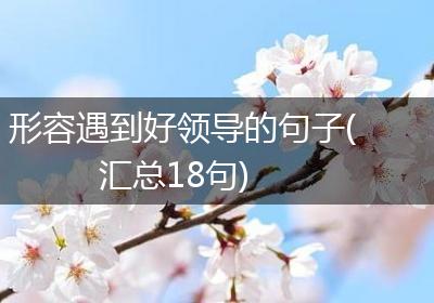 形容遇到好领导的句子(汇总18句)