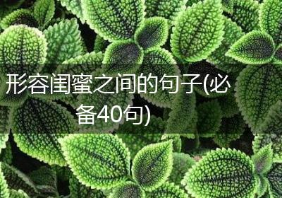 形容闺蜜之间的句子(必备40句)