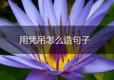 用凭吊怎么造句子