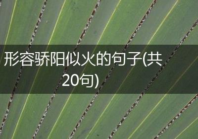 形容骄阳似火的句子(共20句)