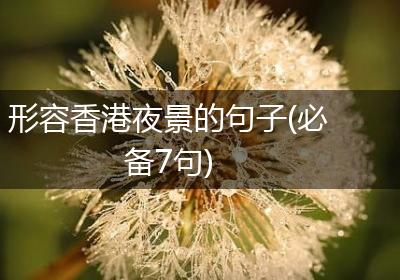 形容香港夜景的句子(必备7句)