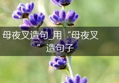母夜叉造句_用“母夜叉”造句子