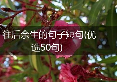 往后余生的句子短句(优选50句)
