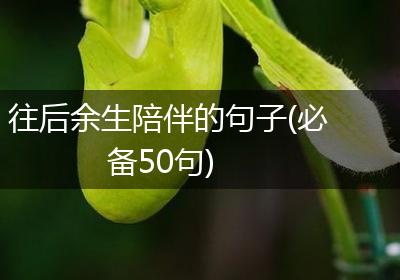 往后余生陪伴的句子(必备50句)
