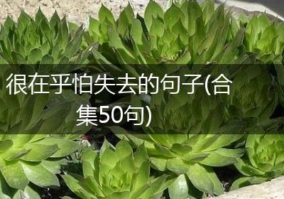 很在乎怕失去的句子(合集50句)
