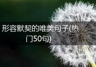 形容默契的唯美句子(热门50句)