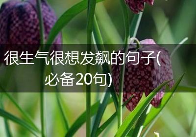 很生气很想发飙的句子(必备20句)