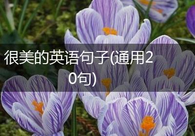 很美的英语句子(通用20句)