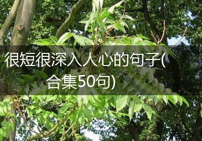 很短很深入人心的句子(合集50句)