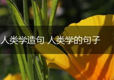 人类学造句 人类学的句子