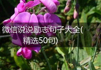 微信说说励志句子大全(精选50句)