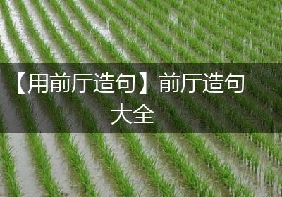 【用前厅造句】前厅造句大全