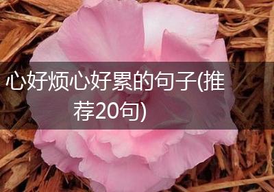 心好烦心好累的句子(推荐20句)