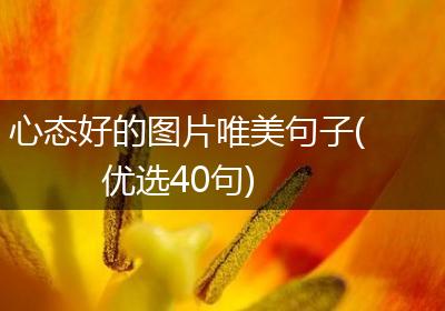 心态好的图片唯美句子(优选40句)