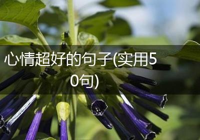心情超好的句子(实用50句)