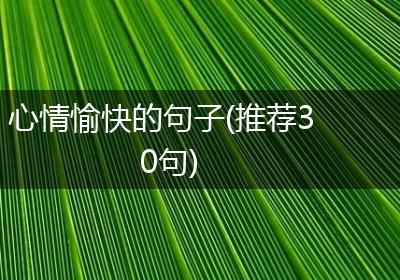 心情愉快的句子(推荐30句)