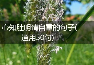 心知肚明请自重的句子(通用50句)