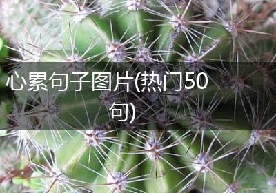 心累句子图片(热门50句)