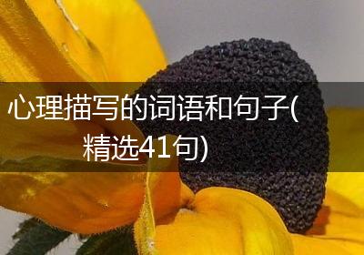 心理描写的词语和句子(精选41句)