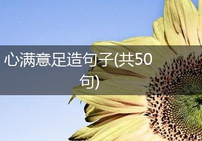 心满意足造句子(共50句)