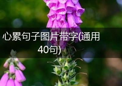 心累句子图片带字(通用40句)