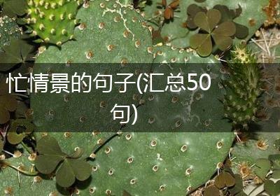 忙情景的句子(汇总50句)