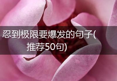 忍到极限要爆发的句子(推荐50句)
