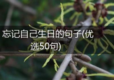 忘记自己生日的句子(优选50句)