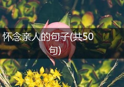 怀念亲人的句子(共50句)