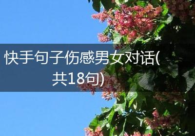 快手句子伤感男女对话(共18句)