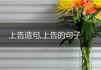 上告造句,上告的句子