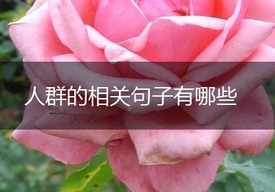 人群的相关句子有哪些