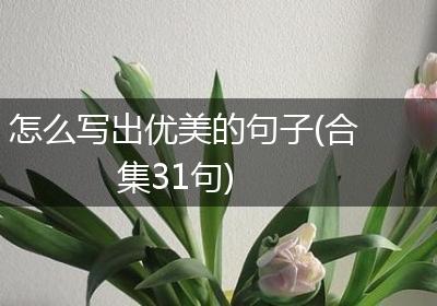 怎么写出优美的句子(合集31句)