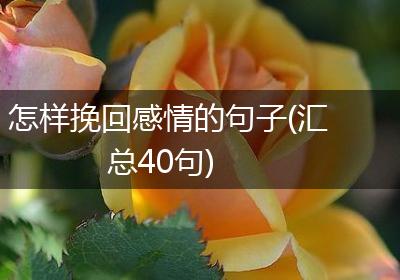 怎样挽回感情的句子(汇总40句)