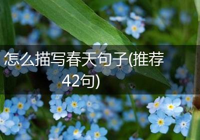 怎么描写春天句子(推荐42句)