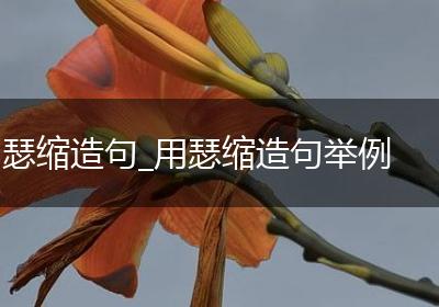 瑟缩造句_用瑟缩造句举例
