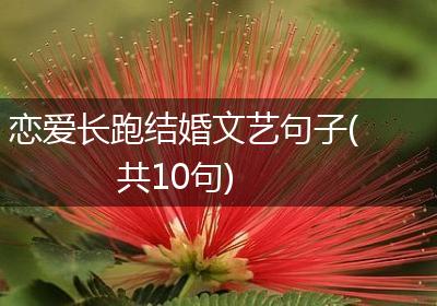 恋爱长跑结婚文艺句子(共10句)