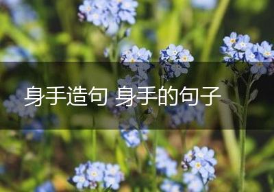 身手造句 身手的句子