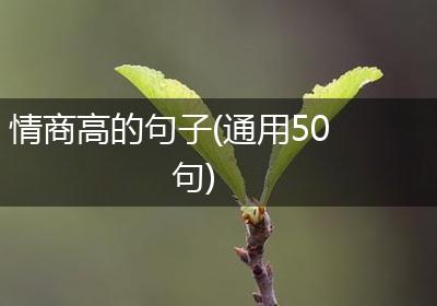 情商高的句子(通用50句)