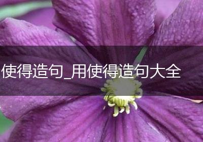 使得造句_用使得造句大全