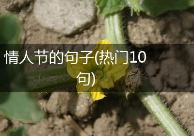 情人节的句子(热门10句)