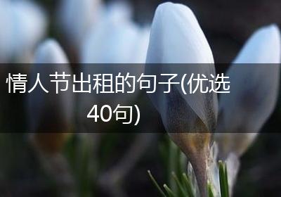 情人节出租的句子(优选40句)