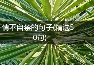 情不自禁的句子(精选50句)