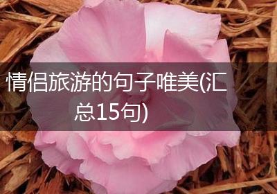 情侣旅游的句子唯美(汇总15句)