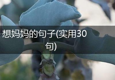 想妈妈的句子(实用30句)